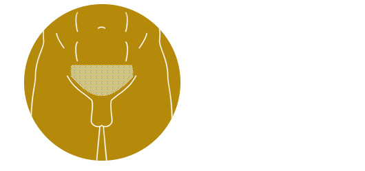 Vゾーン