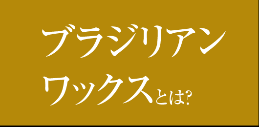 ブラジリアンワックスとは？